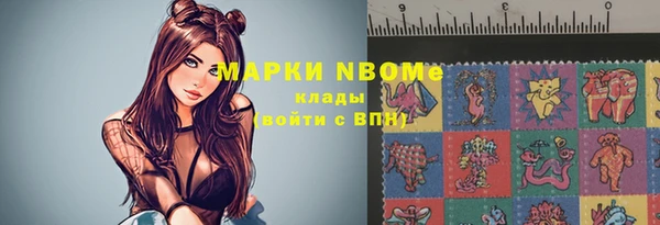 гашик Алексин