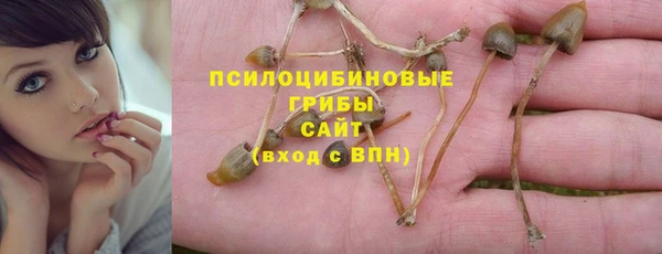ECSTASY Ростов