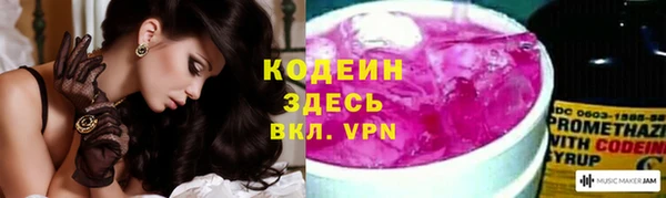 прущий лед Алзамай