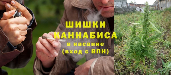 сатива Россошь