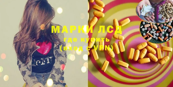 прущий лед Алзамай