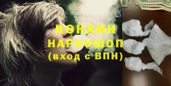 прущий лед Алзамай