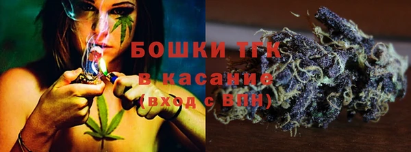 гашик Алексин