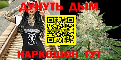 гашик Моздок