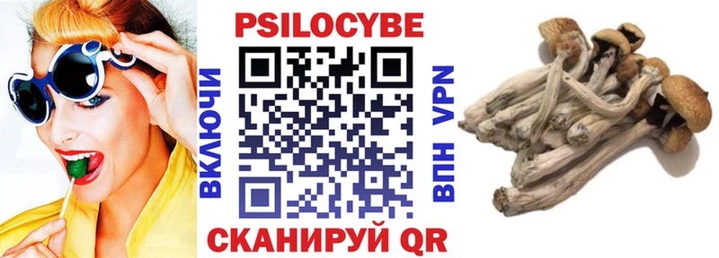ссылка на мегу   Саров  Галлюциногенные грибы Magic Shrooms 