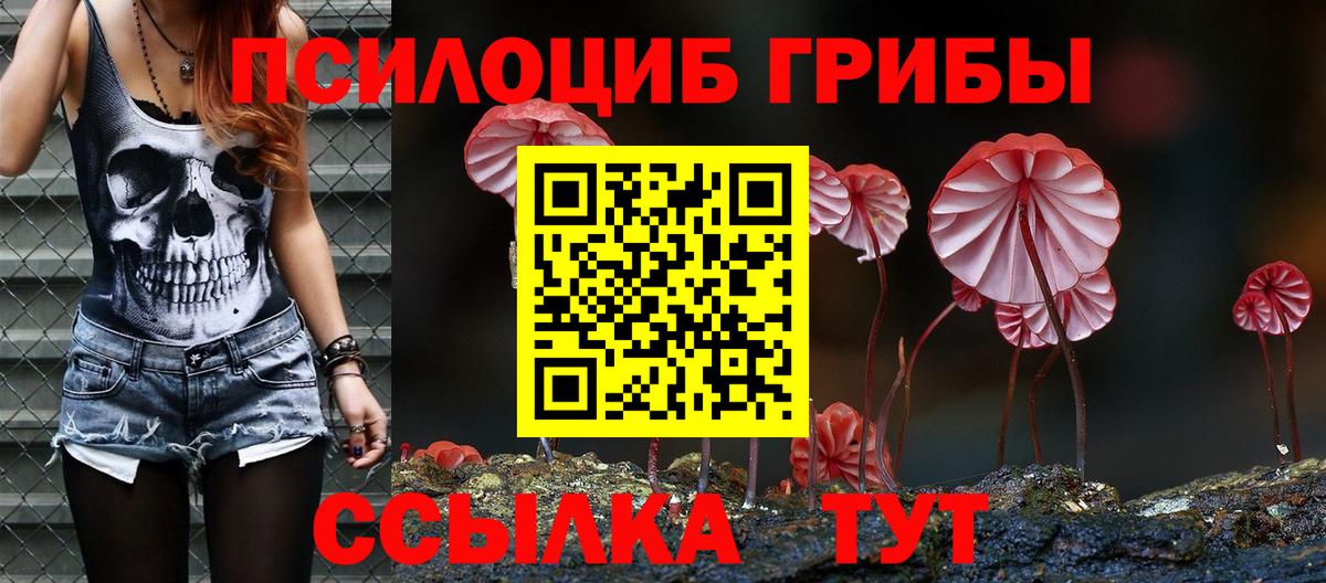 Галлюциногенные грибы Cubensis Саров